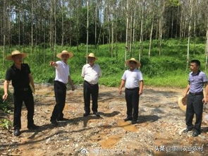 惠州市農(nóng)業(yè)農(nóng)村局副局長李冠源到龍門縣現(xiàn)場督查中央環(huán)保督察整改任務落實情況